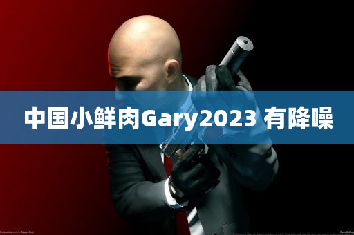 中国小鲜肉Gary2023 有降噪