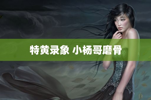 特黄录象 小杨哥磨骨