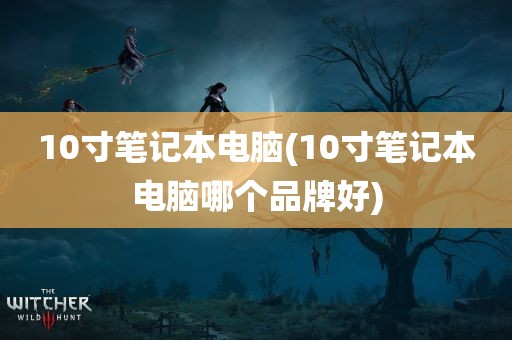 10寸笔记本电脑(10寸笔记本电脑哪个品牌好)