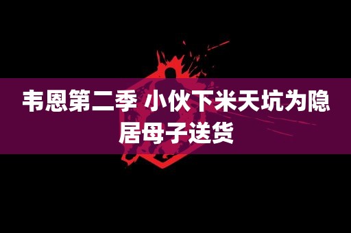 韦恩第二季 小伙下米天坑为隐居母子送货