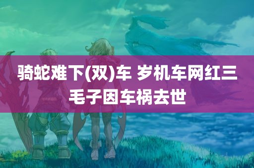 骑蛇难下(双)车 岁机车网红三毛子因车祸去世