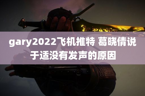 gary2022飞机推特 葛晓倩说于适没有发声的原因