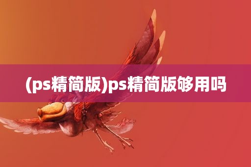 (ps精简版)ps精简版够用吗