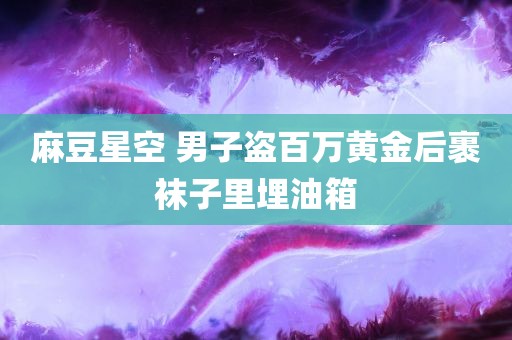 麻豆星空 男子盗百万黄金后裹袜子里埋油箱