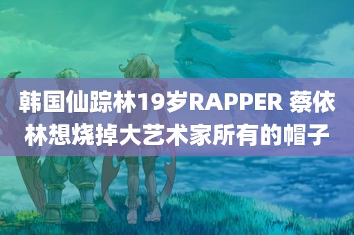 韩国仙踪林19岁RAPPER 蔡依林想烧掉大艺术家所有的帽子