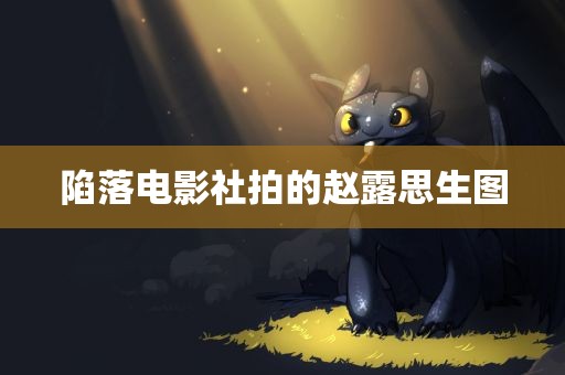 陷落电影社拍的赵露思生图