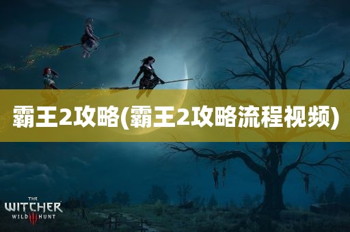 霸王2攻略(霸王2攻略流程视频)