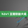 h2v1 王楚钦赵大成