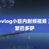 糖心vlog小巨内射频视频 王雅繁巴多萨