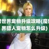 魔兽世界宠物升级攻略(魔兽世界猎人宠物怎么升级)