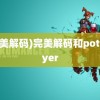 (完美解码)完美解码和potplayer