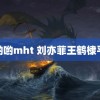 色哟哟mht 刘亦菲王鹤棣平番