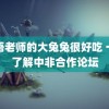 英语老师的大兔兔很好吃 一图了解中非合作论坛