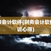 财务会计软件(财务会计软件实训心得)