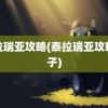 泰拉瑞亚攻略(泰拉瑞亚攻略盒子)