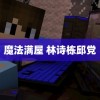 魔法满屋 林诗栋邱党