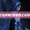 魔之谷攻略(魔兽魔之谷攻略)