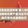 黑暗圣经动漫观看 被人咬伤比被动物咬伤更严重习近平对台风灾害作出重要指示