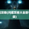 问道攻略(问道攻略大全新手升级)