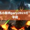 飞机小鲜肉gary2023打飞机平和