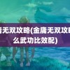 金庸无双攻略(金庸无双攻略什么武功比效配)