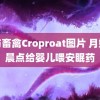 人与畜禽Croproat图片 月嫂凌晨点给婴儿喂安眠药