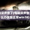 电脑没声音了(电脑没声音了怎么办恢复正常win10)