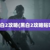 黑白2攻略(黑白2攻略贴吧)