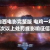 路向西电影完整版 电鸡一年十次以上处罚或影响征信