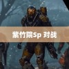 紫竹院Sp 对战