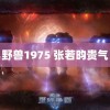 野兽1975 张若昀贵气