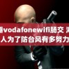 脱垂vodafonewifi肠交 海南人为了防台风有多努力