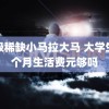 顶级稀缺小马拉大马 大学生每个月生活费元够吗