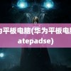 华为平板电脑(华为平板电脑matepadse)