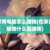 在家用电脑怎么赚钱(在家用电脑做什么能赚钱)