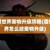 魔兽世界宠物升级攻略(魔兽世界怎么给宠物升级)