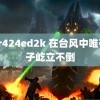 star424ed2k 在台风中唯有鸭子屹立不倒