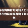 麻豆视传媒官方网站入口进入免费在台风中唯有鸭子屹立不倒