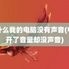 为什么我的电脑没有声音(电脑开了音量却没声音)