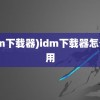 (idm下载器)idm下载器怎么使用