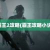 霸王2攻略(霸王攻略小说)