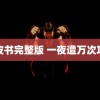 黑皮书完整版 一夜遭万次攻击