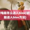 联想电脑怎么进入bios(联想电脑进入bios方法)