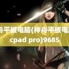 神舟平板电脑(神舟平板电脑pcpad pro)9685