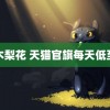 青木梨花 天猫官旗每天低至块