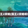 霸王2攻略(霸王2攻略视频)