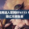 鱿鱼网进入官网BY6113 辛巴晒亿元转账单