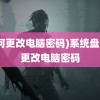 (如何更改电脑密码)系统盘如何更改电脑密码