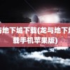 龙与地下城下载(龙与地下城下载手机苹果版)