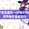 财子名花星妈 一针瘦斤网红神药开始在县城流行